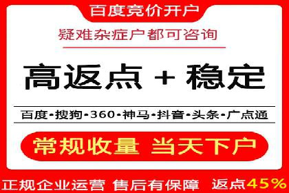 电商平台信息流广告的投放策略与效果评估案例